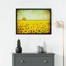 Obraz w ramie Obraz pola słoneczników