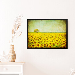 Obraz w ramie Obraz pola słoneczników