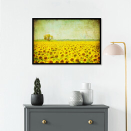Plakat w ramie Obraz pola słoneczników