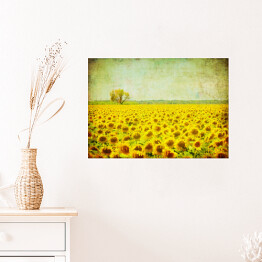 Plakat samoprzylepny Obraz pola słoneczników