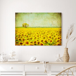 Obraz pola słoneczników