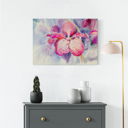 Obraz na płótnie Różowy kwiat orchidei na niebieskim tle