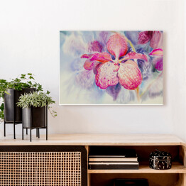 Obraz na płótnie Różowy kwiat orchidei na niebieskim tle