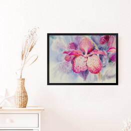 Obraz w ramie Różowy kwiat orchidei na niebieskim tle
