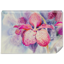 Fototapeta Różowy kwiat orchidei na niebieskim tle