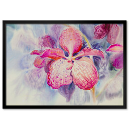 Plakat w ramie Różowy kwiat orchidei na niebieskim tle