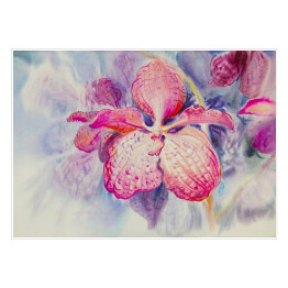 Plakat samoprzylepny Różowy kwiat orchidei na niebieskim tle
