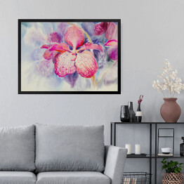 Obraz w ramie Różowy kwiat orchidei na niebieskim tle