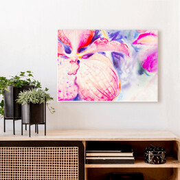 Obraz na płótnie Niebieskie i różowe kwiaty orchidei na białym stole
