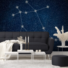 Fototapeta winylowa zmywalna Gemini Constellation. Znak zodiaku Gemini konstelacji linii Galaxy tło