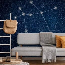 Fototapeta Gemini Constellation. Znak zodiaku Gemini konstelacji linii Galaxy tło
