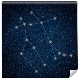 Fototapeta winylowa zmywalna Gemini Constellation. Znak zodiaku Gemini konstelacji linii Galaxy tło