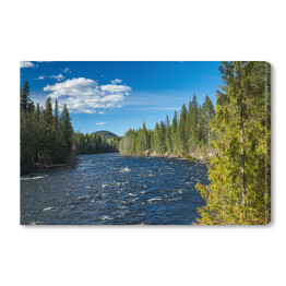 Obraz na płótnie Rzeka w Wells Grey Provincial Park, Kolumbia Brytyjska