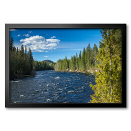 Obraz w ramie Rzeka w Wells Grey Provincial Park, Kolumbia Brytyjska