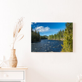 Obraz na płótnie Rzeka w Wells Grey Provincial Park, Kolumbia Brytyjska