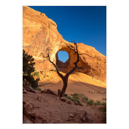 Plakat Skalny łuk z nieżywym drzewem w dolinie, Arizona