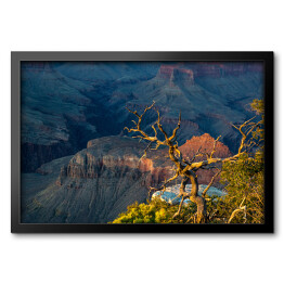 Obraz w ramie Widok z Yaki Point w Grand Canyon, Utah