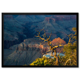 Plakat w ramie Widok z Yaki Point w Grand Canyon, Utah