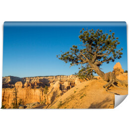 Fototapeta samoprzylepna Widok w Parku Narodowym Bryce Canyon, Utah