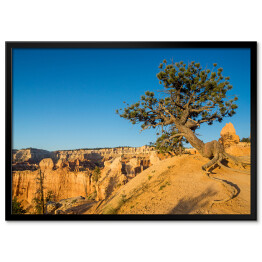 Plakat w ramie Widok w Parku Narodowym Bryce Canyon, Utah