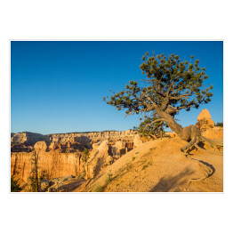 Plakat samoprzylepny Widok w Parku Narodowym Bryce Canyon, Utah