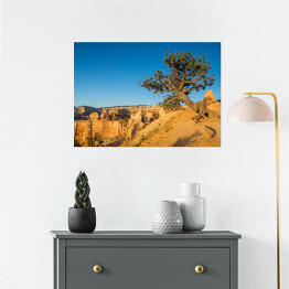 Plakat samoprzylepny Widok w Parku Narodowym Bryce Canyon, Utah