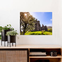 Plakat Widok zza drzew na Zamek Kilchurn w Wielkiej Brytanii