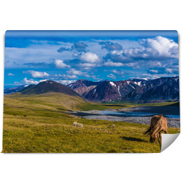 Fototapeta Krajobraz w Altai Tavan Bogd, Mongola