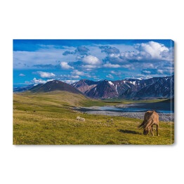 Obraz na płótnie Krajobraz w Altai Tavan Bogd, Mongola