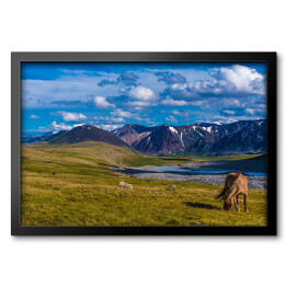 Obraz w ramie Krajobraz w Altai Tavan Bogd, Mongola