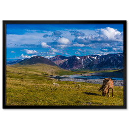 Plakat w ramie Krajobraz w Altai Tavan Bogd, Mongola