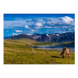 Plakat Krajobraz w Altai Tavan Bogd, Mongola