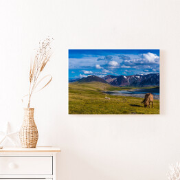 Obraz na płótnie Krajobraz w Altai Tavan Bogd, Mongola