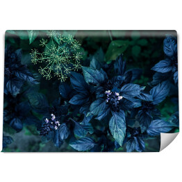Fototapeta winylowa zmywalna Zielone i niebieskie egzotyczne liście