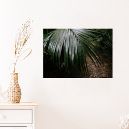 Plakat samoprzylepny Dżungla Ishigakijima - zielona roślinność