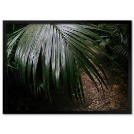 Plakat w ramie Dżungla Ishigakijima - zielona roślinność