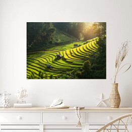 Plakat Plantacja ryżu, Wietnam