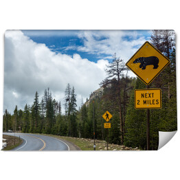 Fototapeta Beartooth Highway, Montana