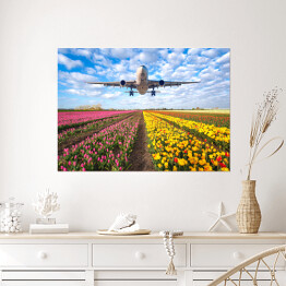 Plakat Samolot nad polem pełnym kwiatów