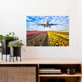 Plakat Samolot nad polem pełnym kwiatów