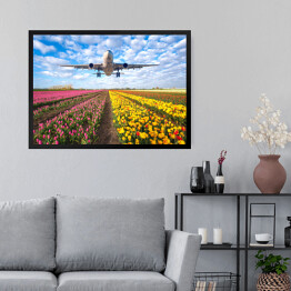 Obraz w ramie Samolot nad polem pełnym kwiatów