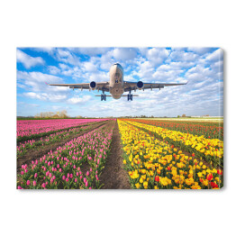 Obraz na płótnie Samolot nad polem pełnym kwiatów
