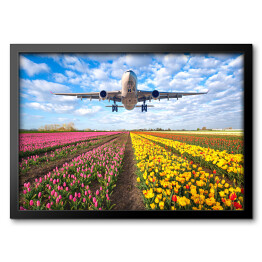 Obraz w ramie Samolot nad polem pełnym kwiatów