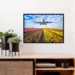 Plakat w ramie Samolot nad polem pełnym kwiatów
