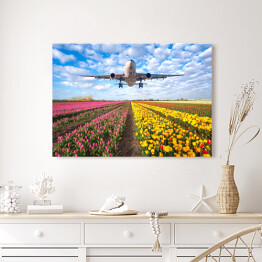 Obraz na płótnie Samolot nad polem pełnym kwiatów