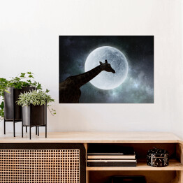 Plakat Żyrafa w nocy na tle księżyca