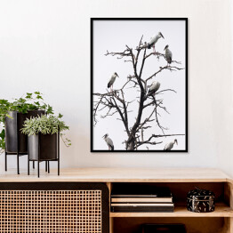 Plakat w ramie Ptaki siedzące na drzewie