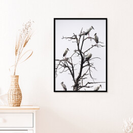 Plakat w ramie Ptaki siedzące na drzewie