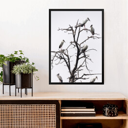 Obraz w ramie Ptaki siedzące na drzewie