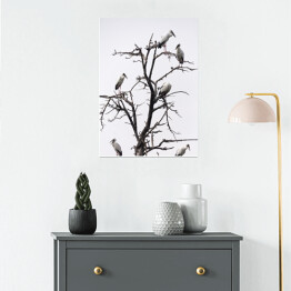 Plakat samoprzylepny Ptaki siedzące na drzewie